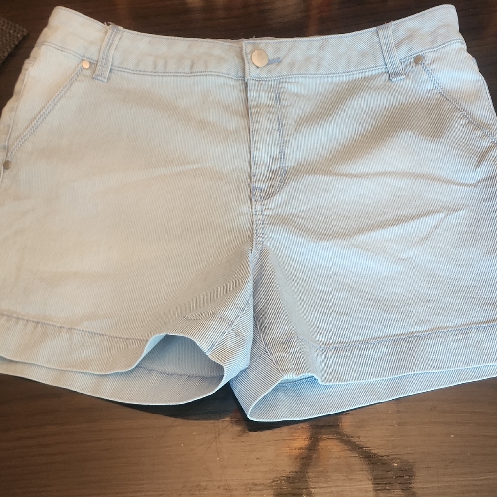 d. jeans Light Blue Jean Shorts